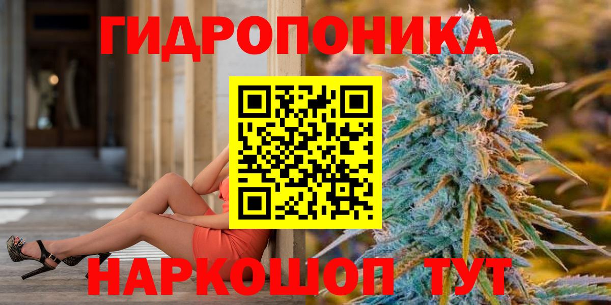Бошки Шишки гибрид  Вход с VPN  Конопля Amnesia  Асино  Марихуана OG Kush 